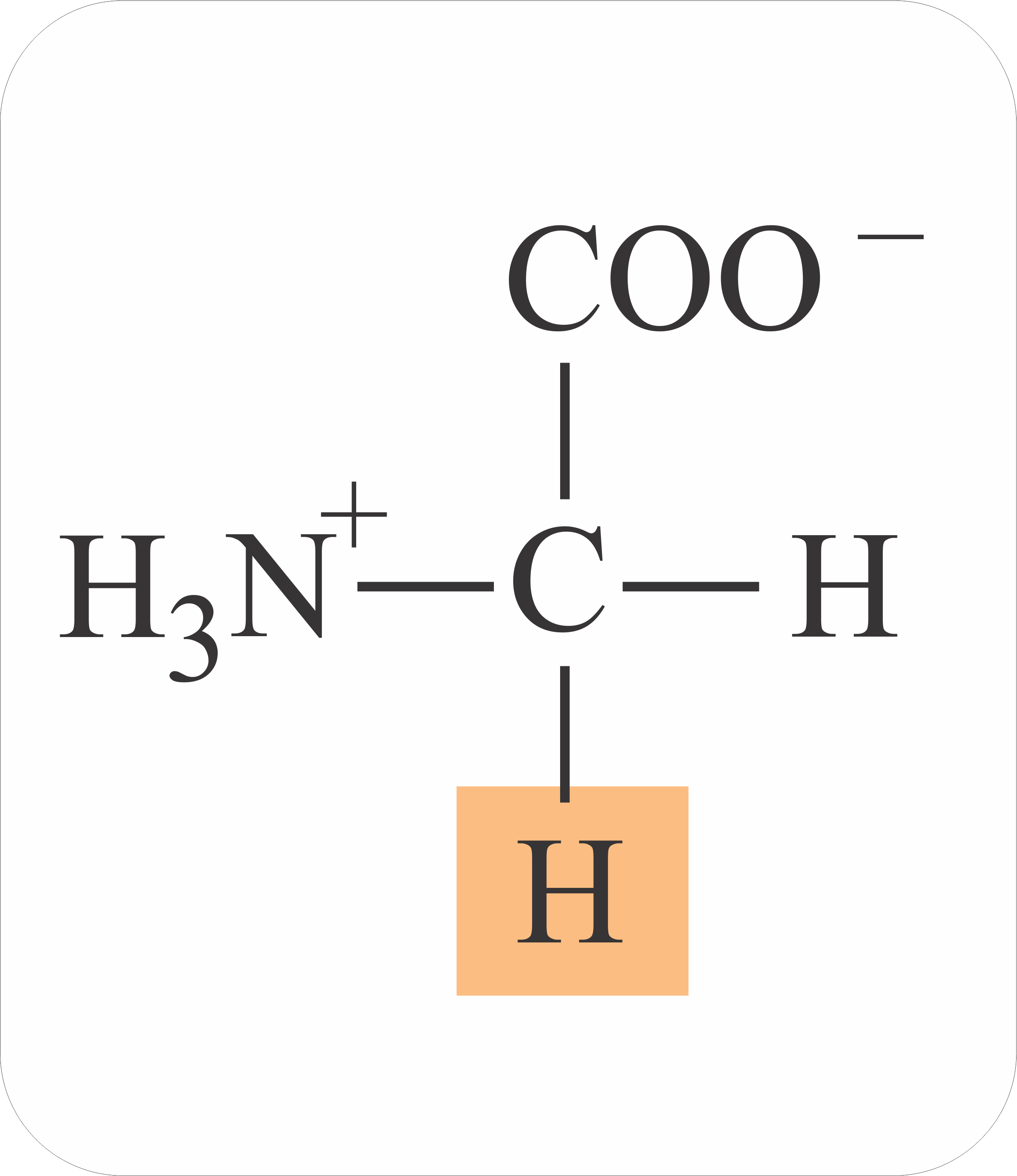 Amino Acids Flashcards Memorang
