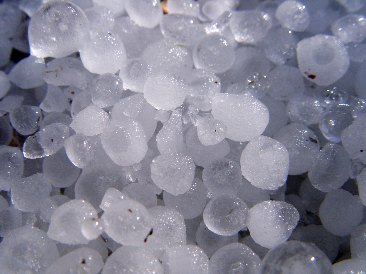 German Nouns Gender Flashcards Memorang