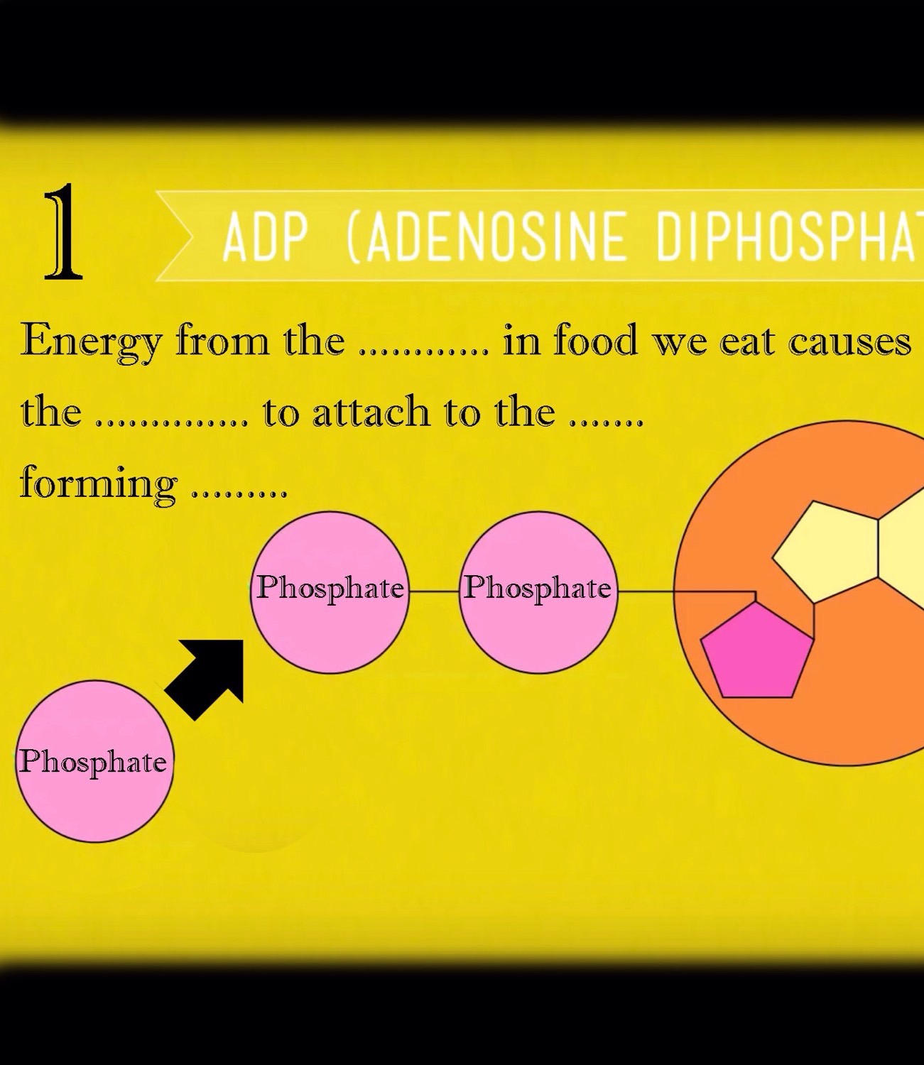 The Non-oxidative Energy System Could Provide Energy For Up To