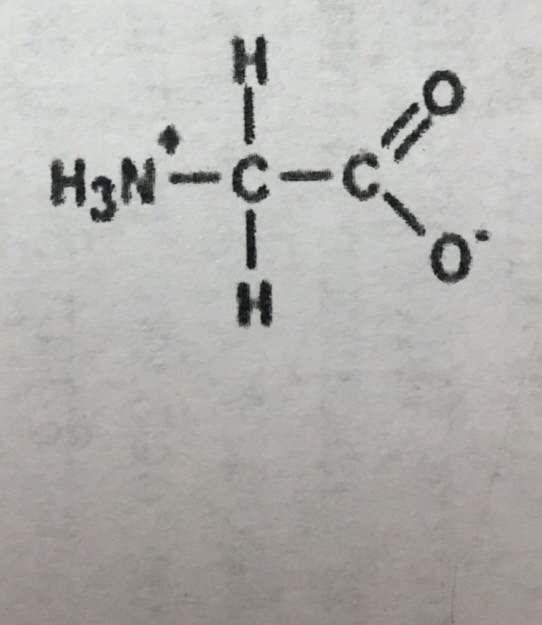 Amino Acids Flashcards Memorang