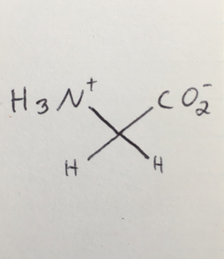Amino Acids Flashcards Memorang