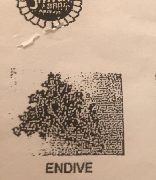 Codes Flashcards Memorang