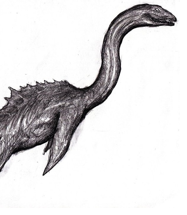 Cryptids Flashcards | Memorang