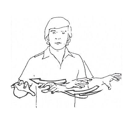 Chapter 19 Basic Course in American Sign Language Flashcards | Memorang