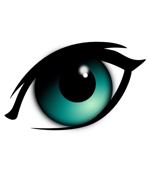 Mandarin Parts of the Body Flashcards Memorang