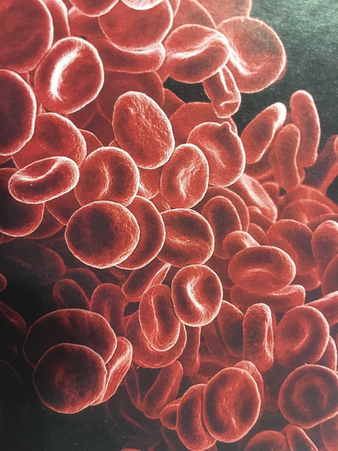 Hematology Flashcards Memorang