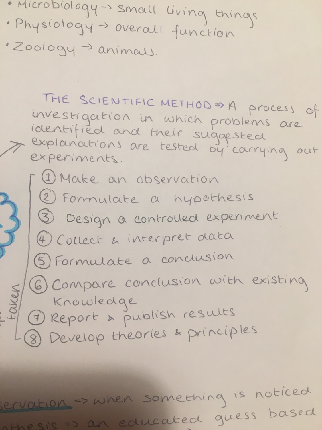 Biology Flashcards Memorang
