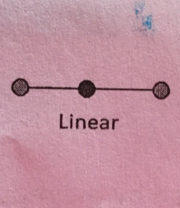 AXE Notation Flashcards Memorang