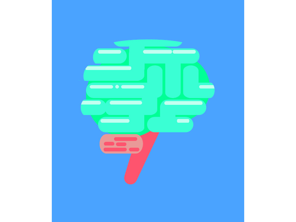 the brain Flashcards Memorang