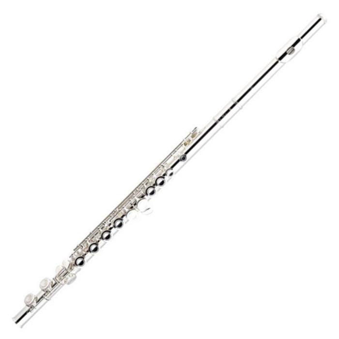 Instruments of the Orchestra Flashcards | Memorang