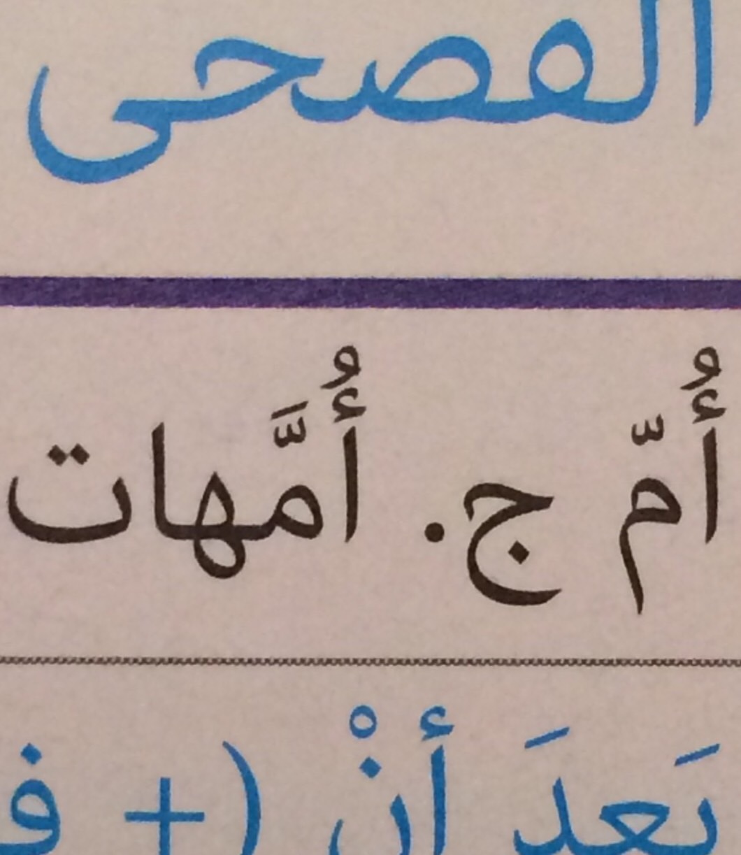 Al Kitaab Lesson 8 Flashcards Memorang