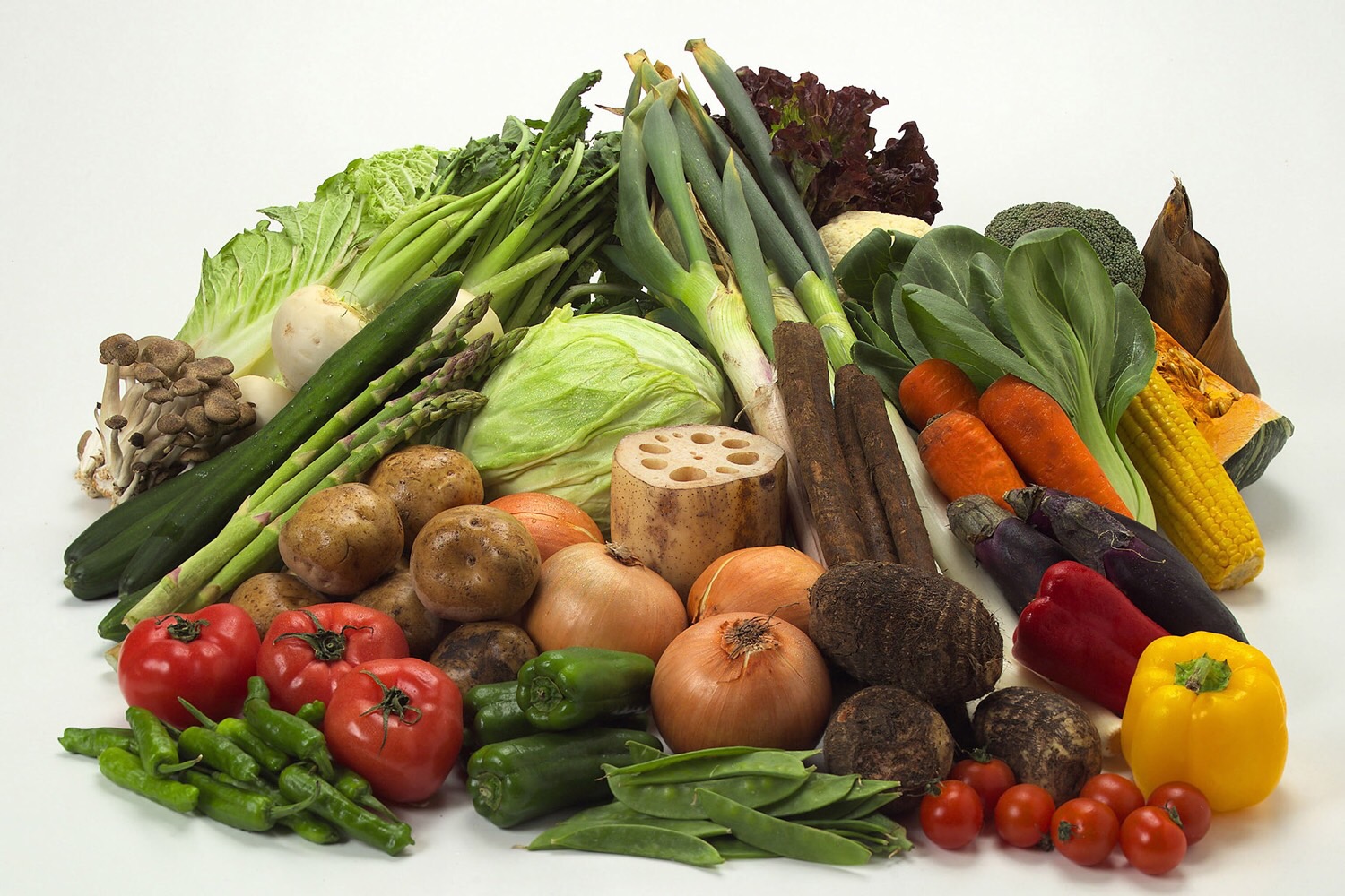 Duolingo Japanese Flashcards Memorang