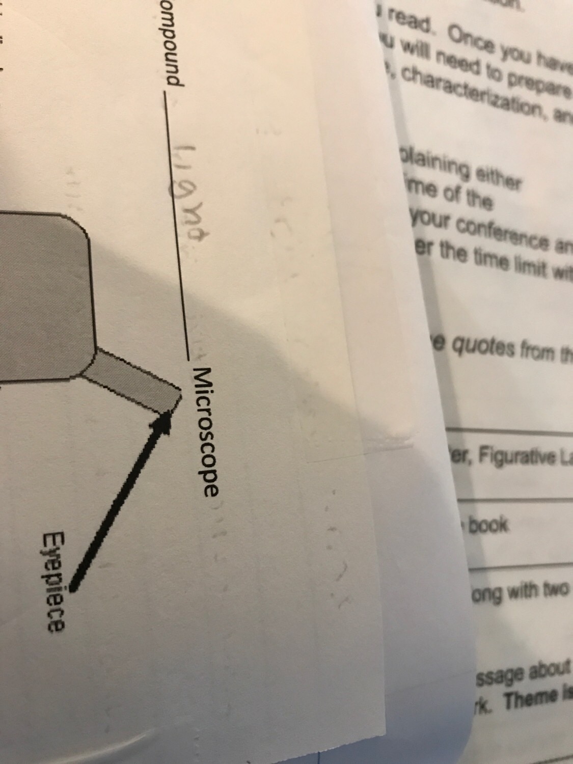 Science compound light microscope pieces Flashcards | Memorang