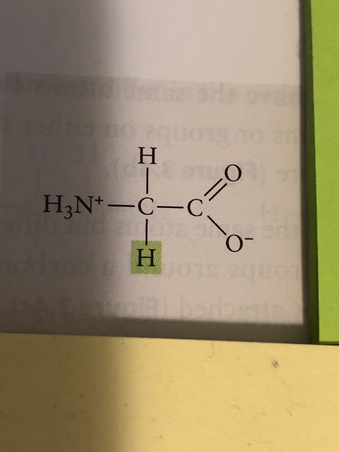 Amino acids Flashcards Memorang
