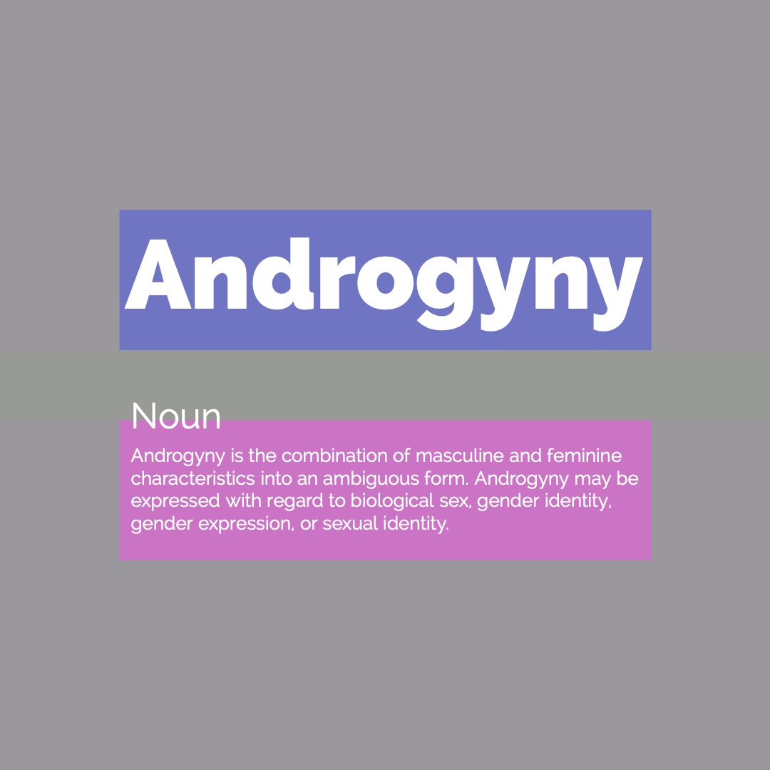 German LGBT Slang, Sexualities & Gender Identities Flashcards Memorang