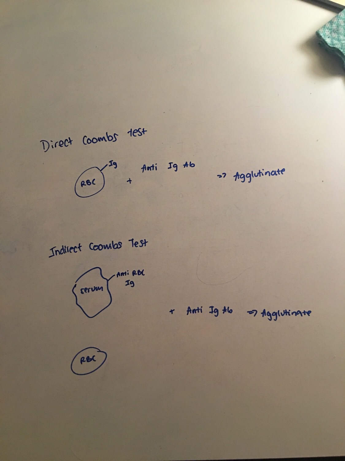 Hematology Flashcards Memorang