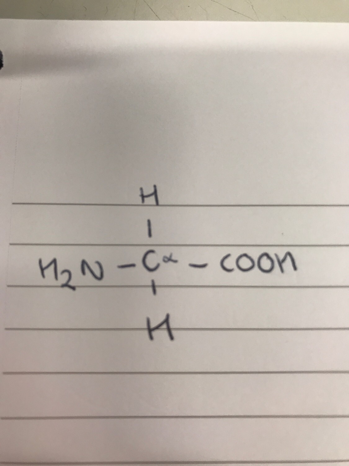 Amino Acids Flashcards Memorang