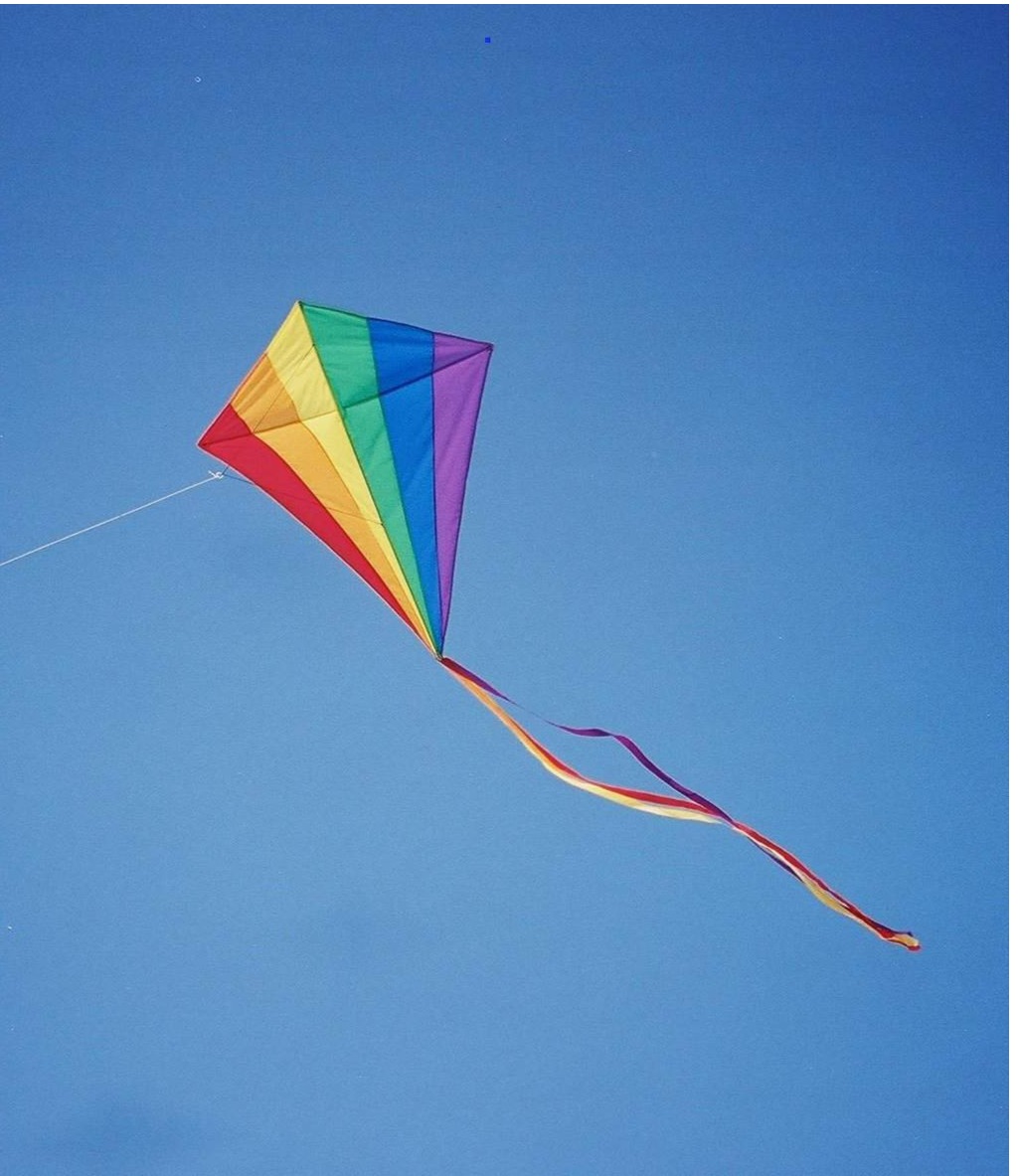 The Kite Flashcards Memorang