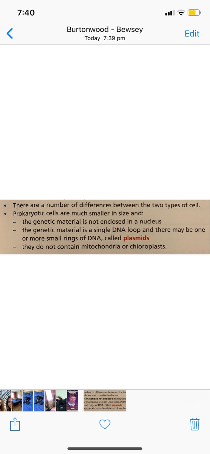 🧬 B1 (cell biology) Flashcards Memorang