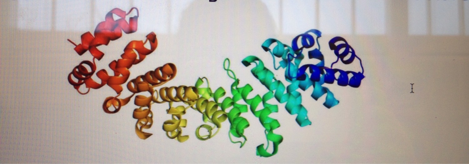 Medicinal and biostructural chemistry Flashcards Memorang
