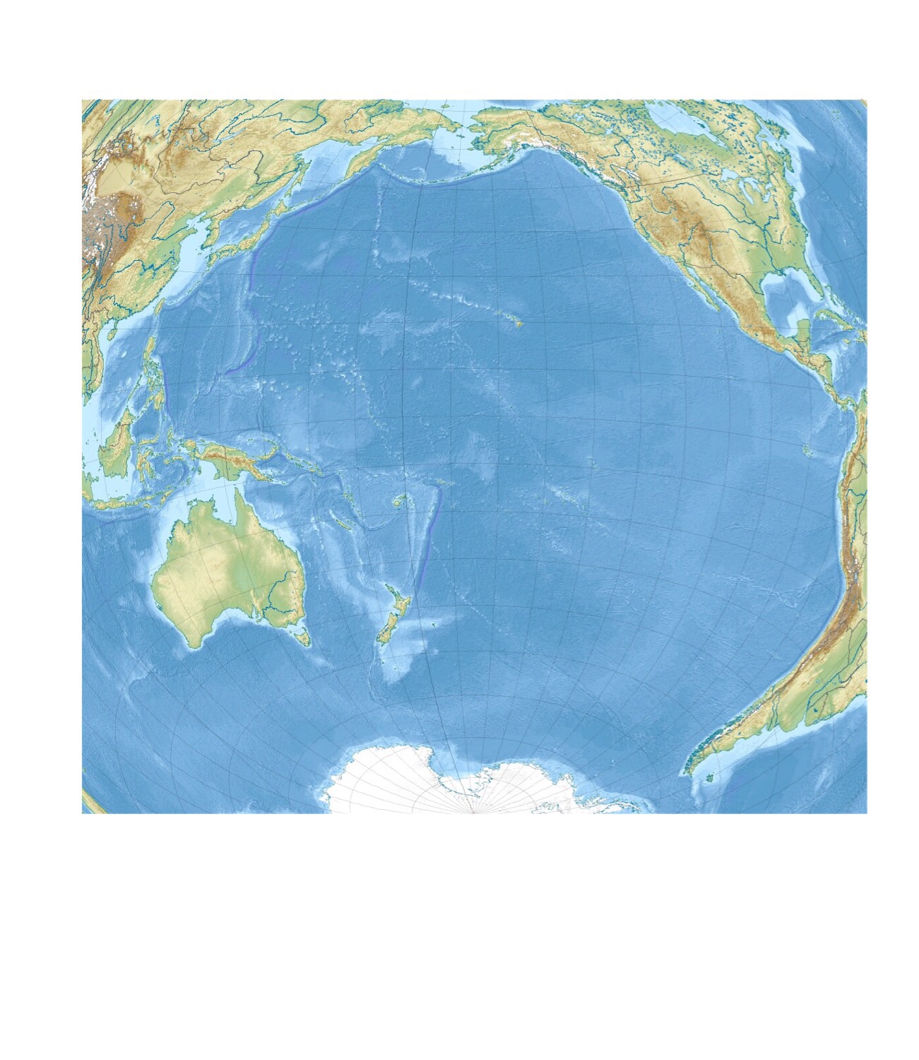 The World Flashcards Memorang