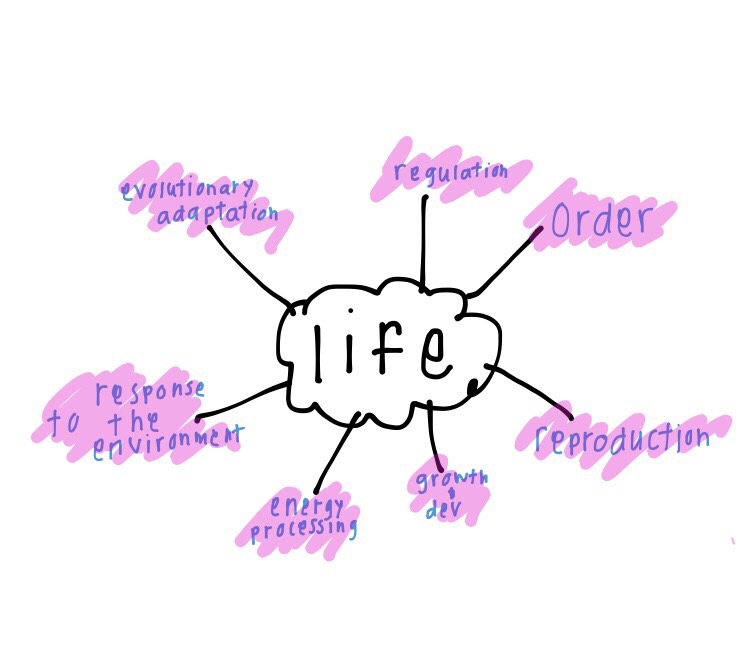 Biology Ch 1 Flashcards Memorang