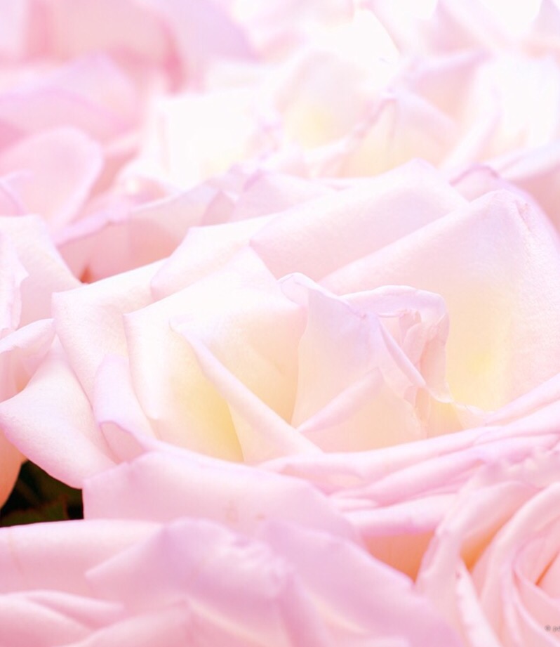 Pretty Flashcards Memorang