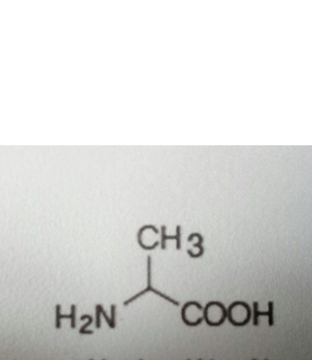 amino acids Flashcards Memorang