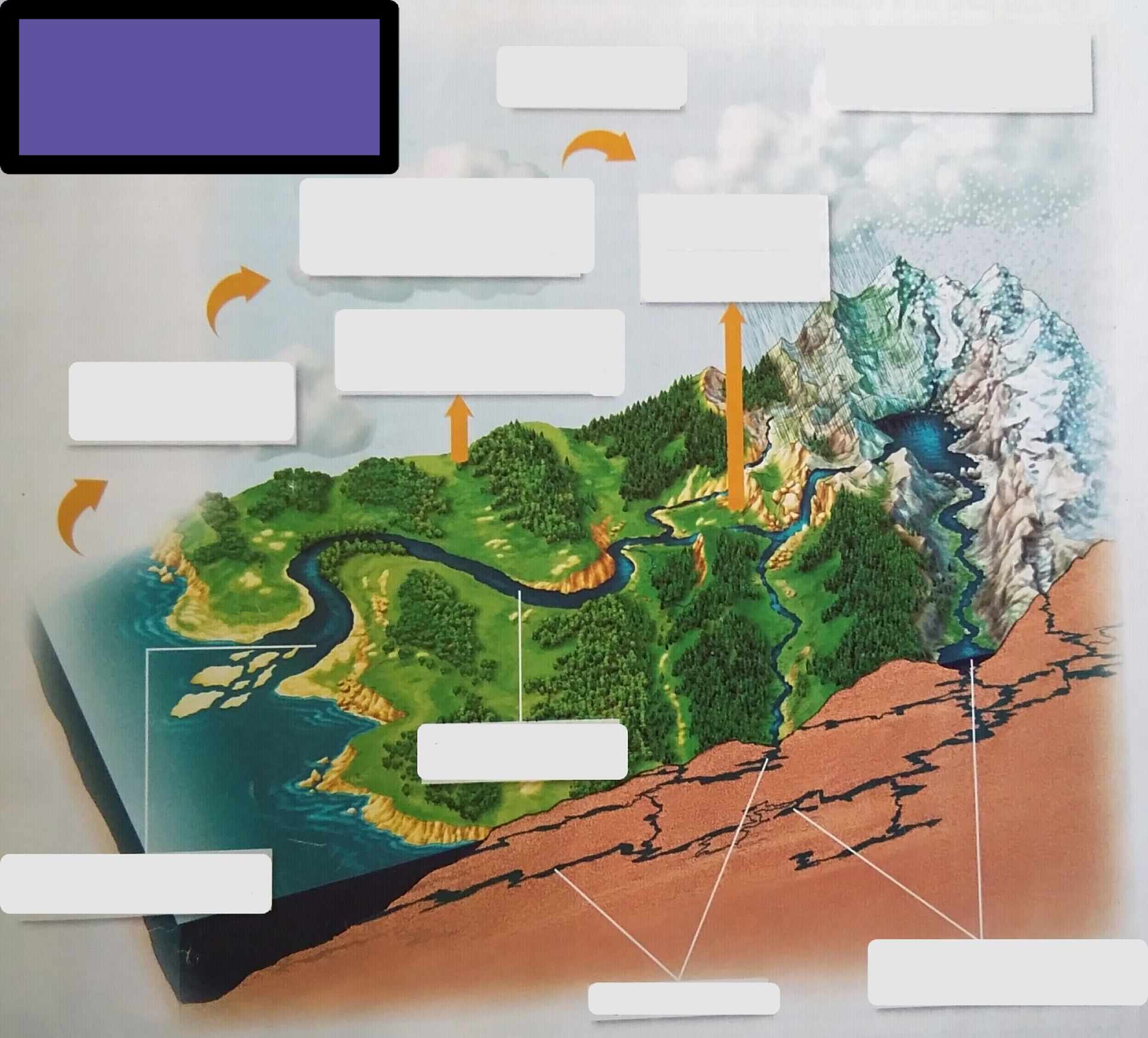 El ciclo del agua Flashcards | Memorang