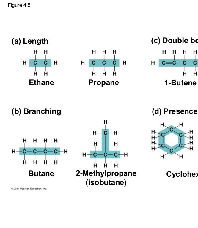 Carbon skeletons and functional groups Flashcards Memorang