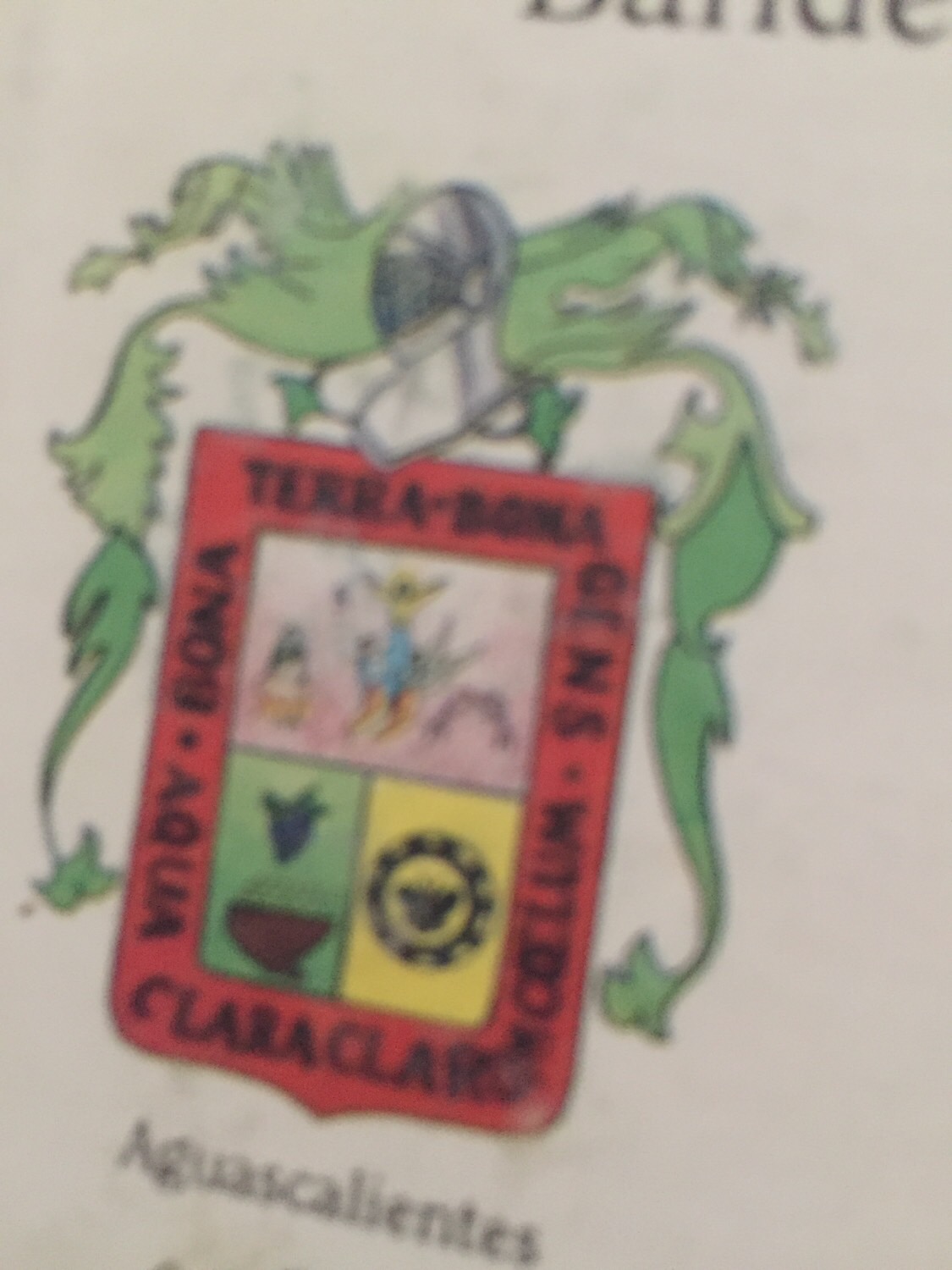 Los Estados De México Flashcards Memorang