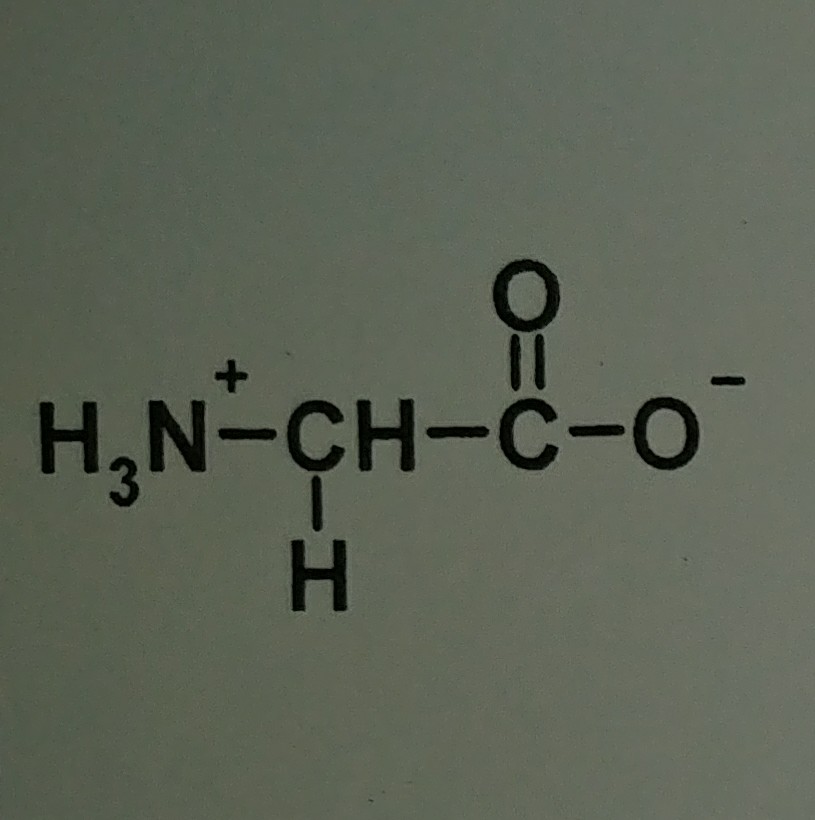 Amino Acids Flashcards Memorang