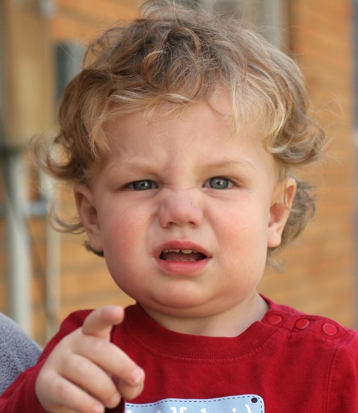 Growing Down Flashcards Memorang