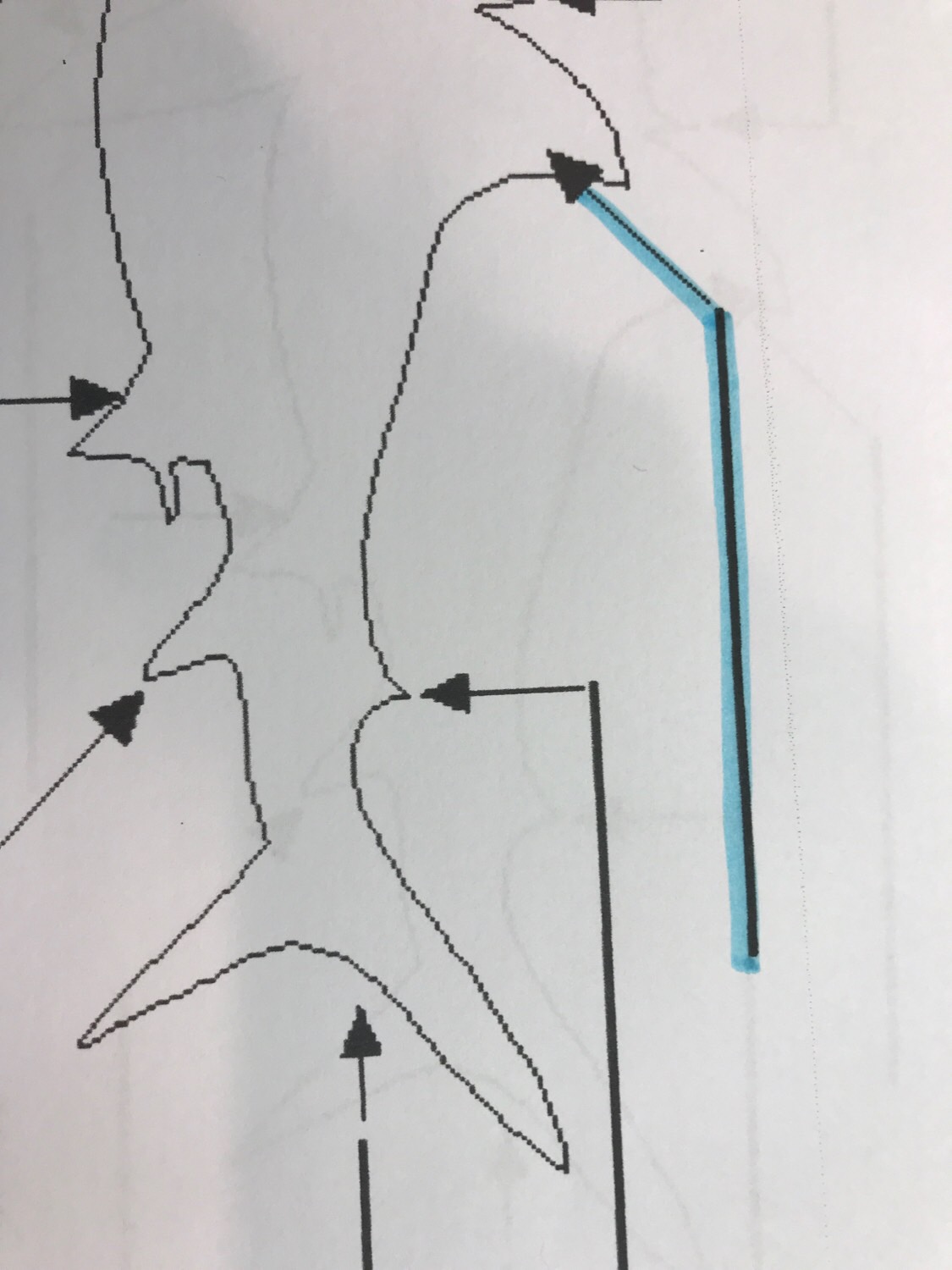 Shark anatomy test Flashcards Memorang