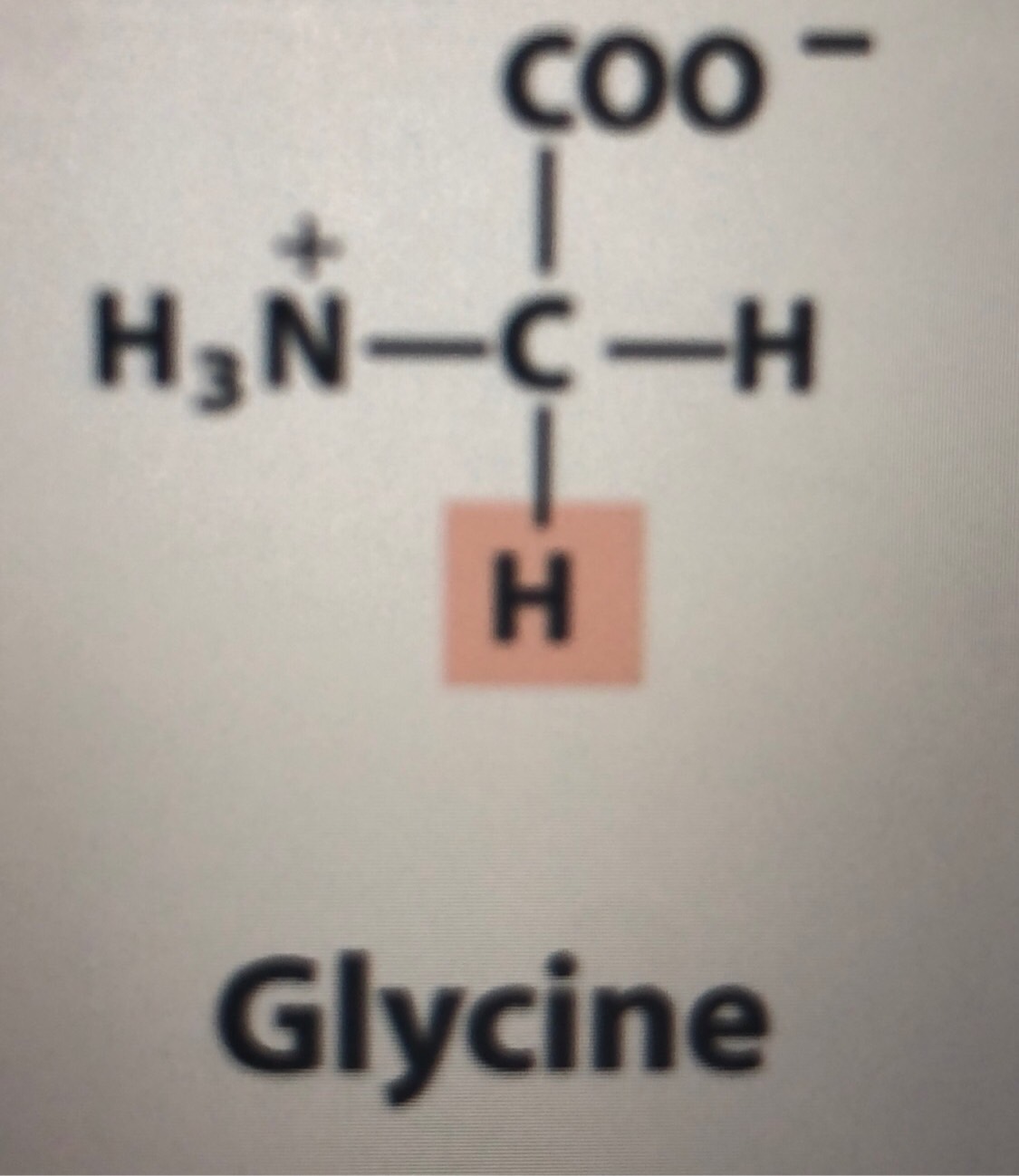 Amino acids Flashcards Memorang